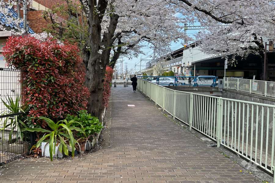 敷地北側は神田川に面しています。