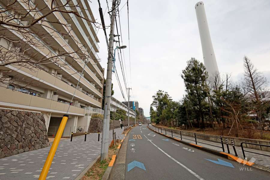 敷地南側の前面道路（西側から）