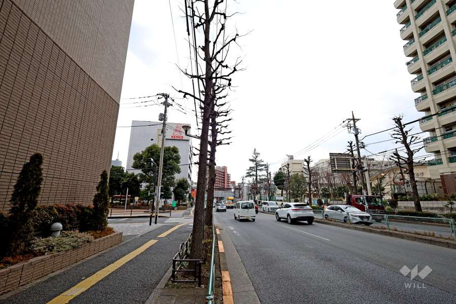 敷地西側の前面道路（北側から）