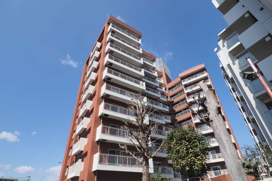 ドムス高井戸の外観（南東側から）