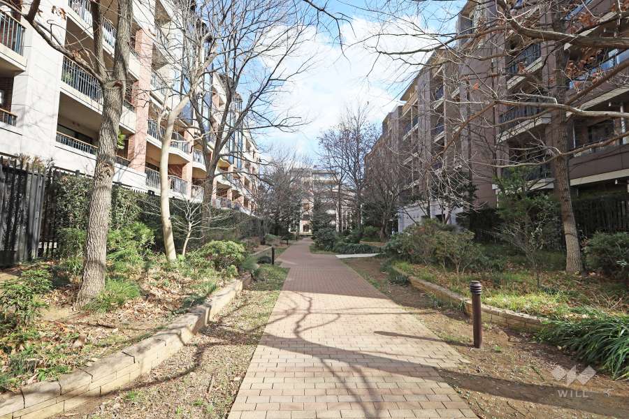 敷地北側の前面道路（西側から）