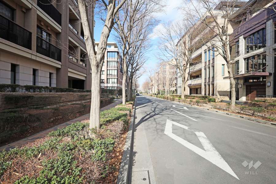 敷地東側の前面道路（南側から）