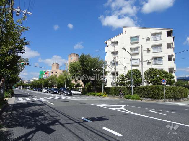 敷地の西側には国道173号線が走っています。