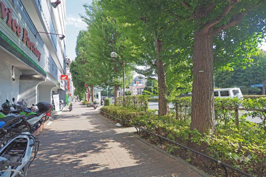 敷地西側の前面道路は環七通りです（北側から）。