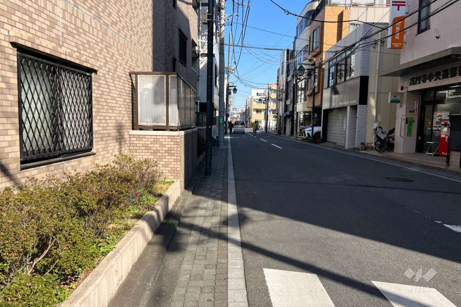 敷地南側の前面道路（西側から）