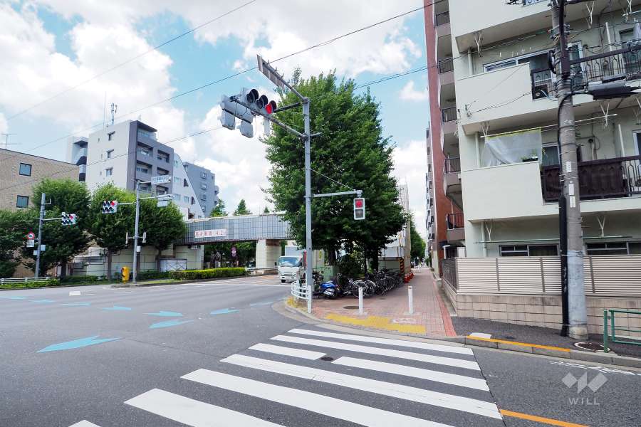 敷地西側の前面道路（南側から）