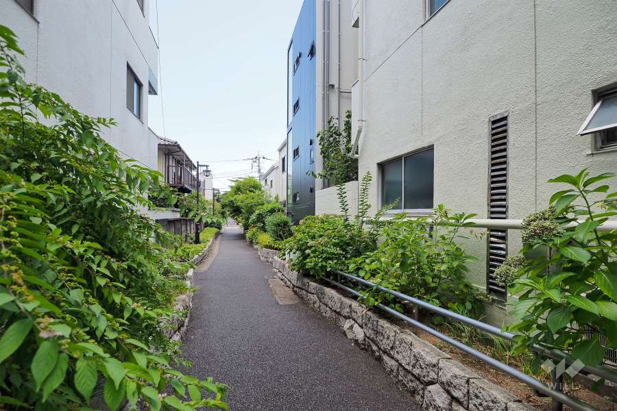 敷地北側の前面道路（西側から）