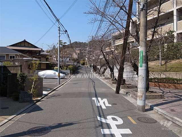 敷地南側の通り。街路樹がきれいです。