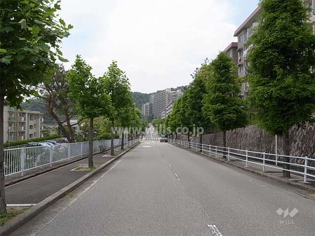 17号棟南側の前面道路。敷地は道路より一段高くなっています。