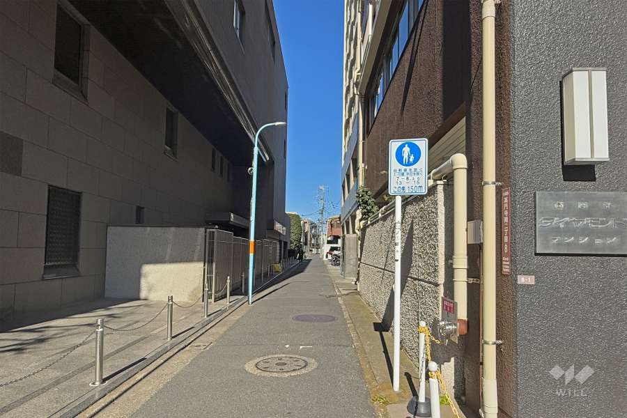 敷地の西側前面道路（南側から）