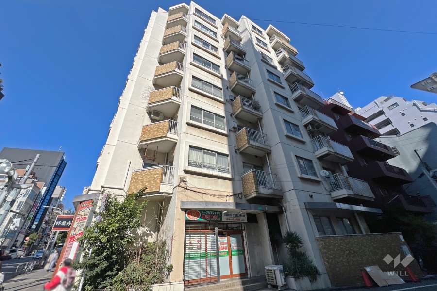 高円寺パレスハイツの外観（南西側から）