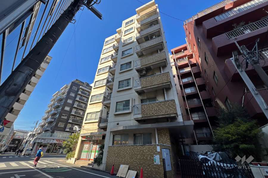 高円寺パレスハイツの外観（南東側から）