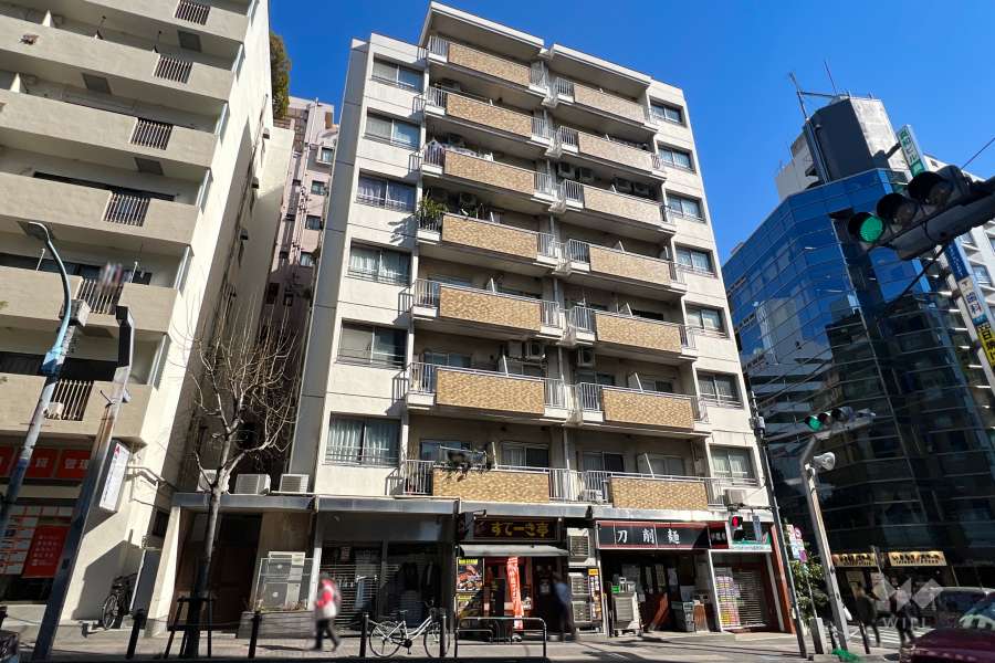 高円寺パレスハイツの外観（北西側から）