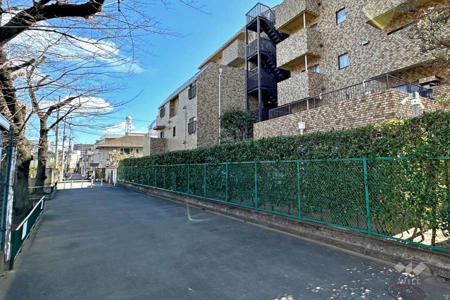 敷地北側の前面道路（西側から）