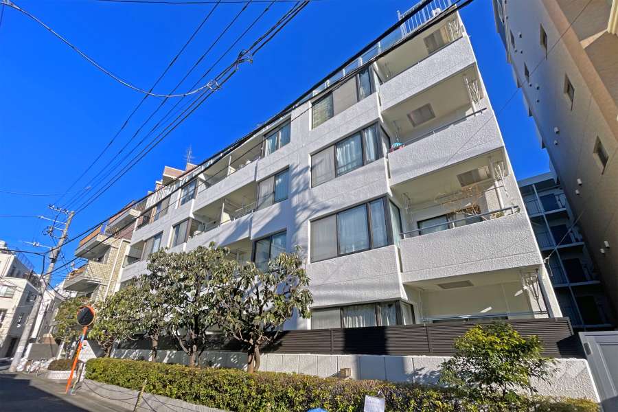 ネオコーポ高円寺の外観（南東側から）