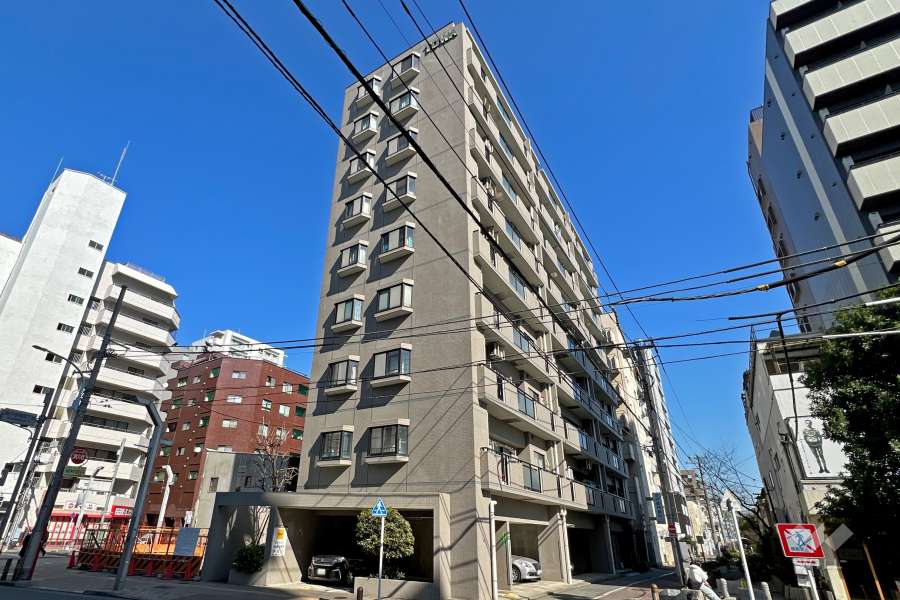藤和シティホームズ高円寺の外観（西側から）