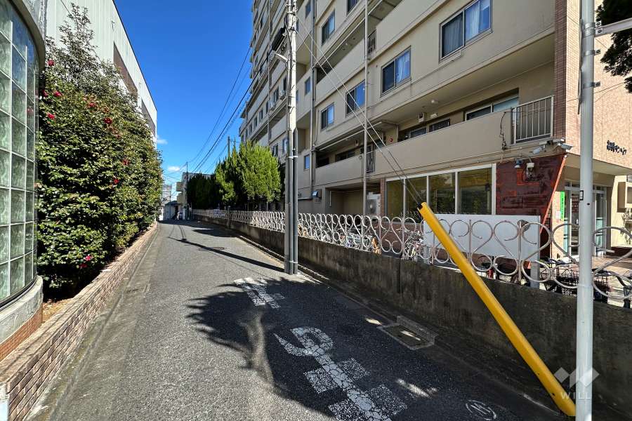 敷地西側の前面道路（南側から）