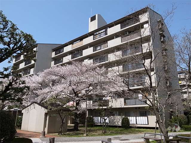 栄南団地 8号棟の外観（南東側から）