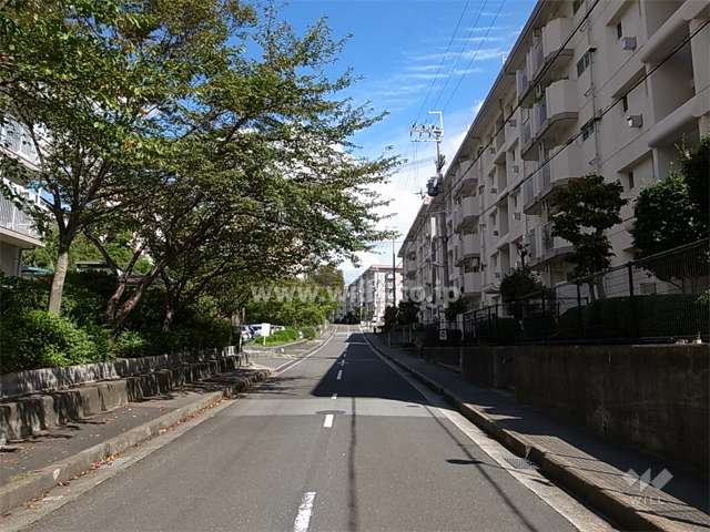 18号棟の北側の道路