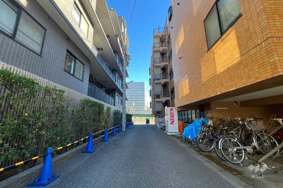 敷地北側の前面道路（西側から）