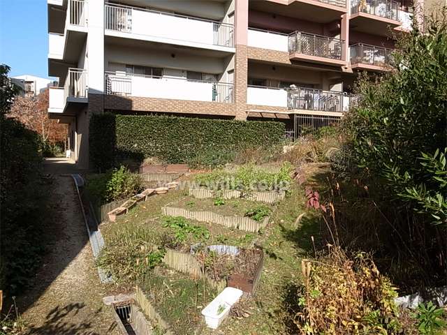 D棟の南東側には花壇スペースがあります。