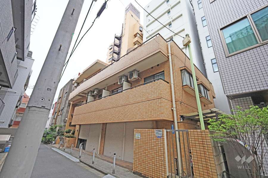 ライオンズマンション高円寺北の外観（北西側から）