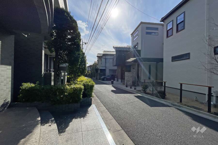 敷地の西側前面道路（北側から）