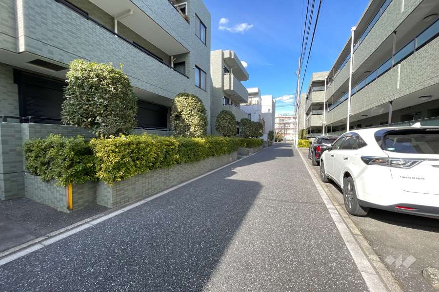 敷地の東側前面道路（南側から）