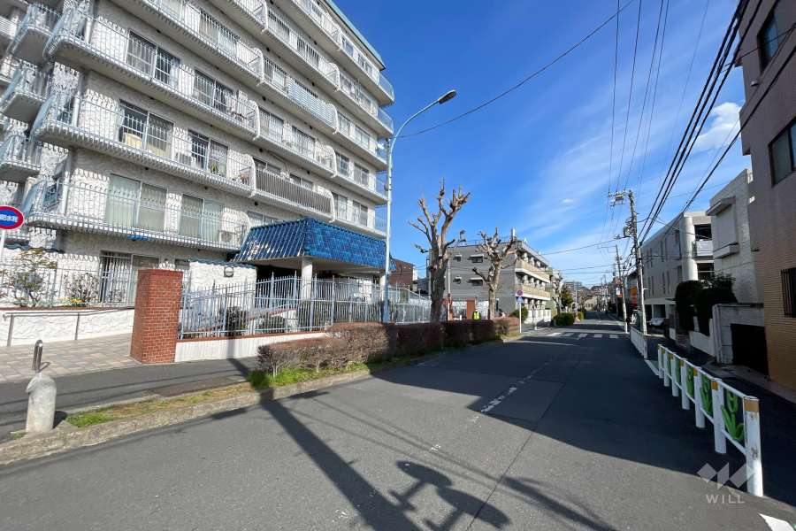 敷地南側の前面道路　