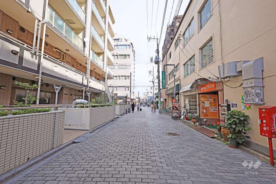 敷地南側の前面道路（西側から）