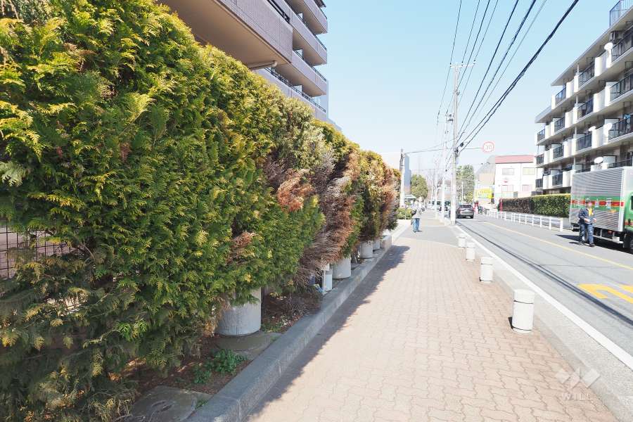 敷地東側の前面道路（南側から）