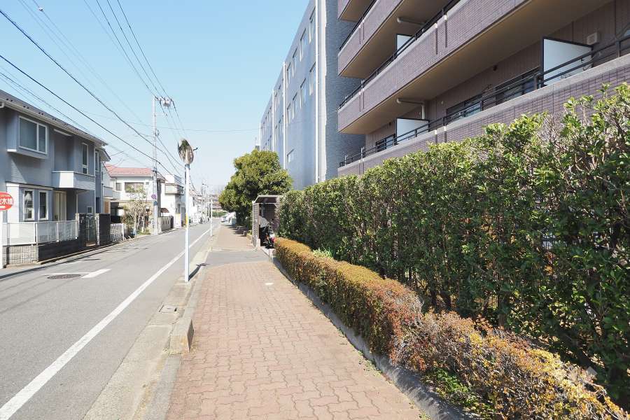 敷地西側の前面道路（南側から）