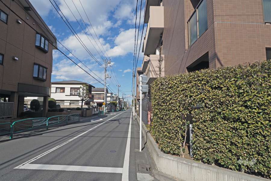 敷地西側の前面道路は八丁通りです（南側から）。
