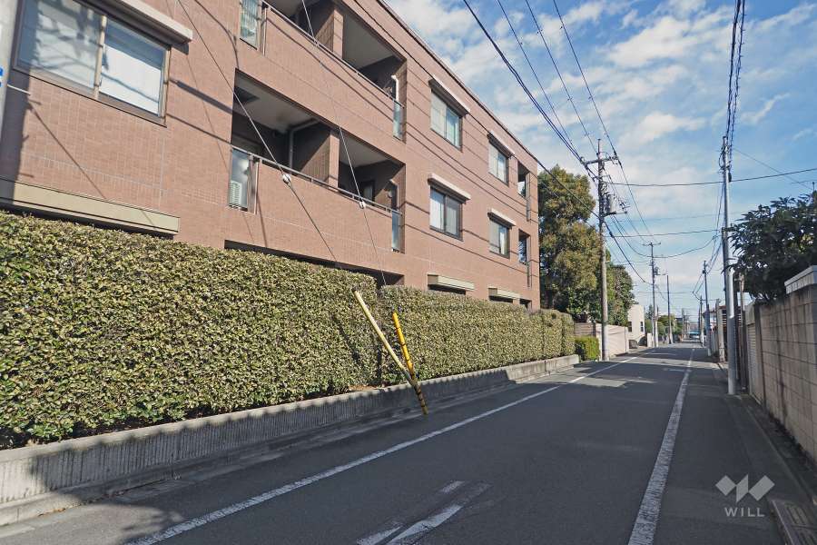 敷地南側の前面道路（西側から）