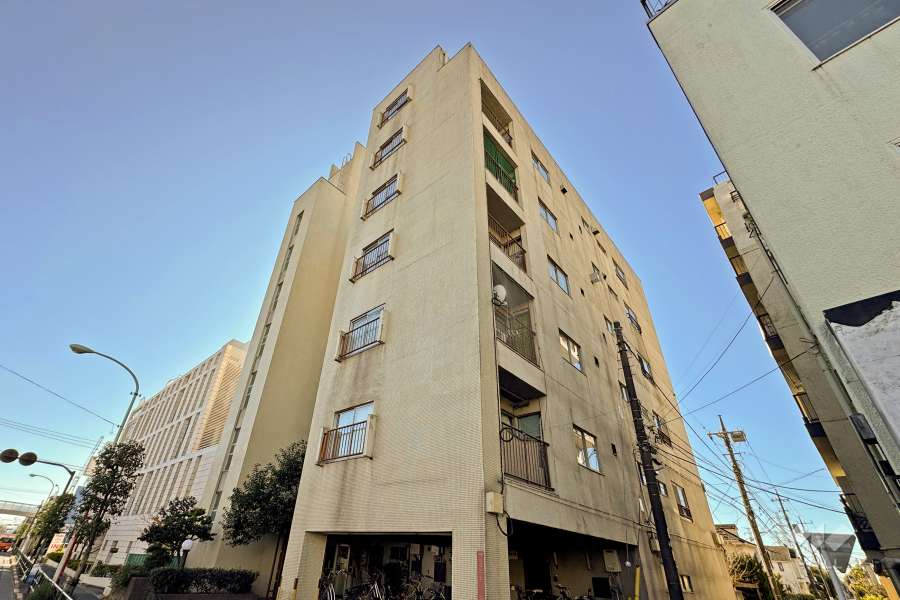 松庵ハイムの外観（北西側から）