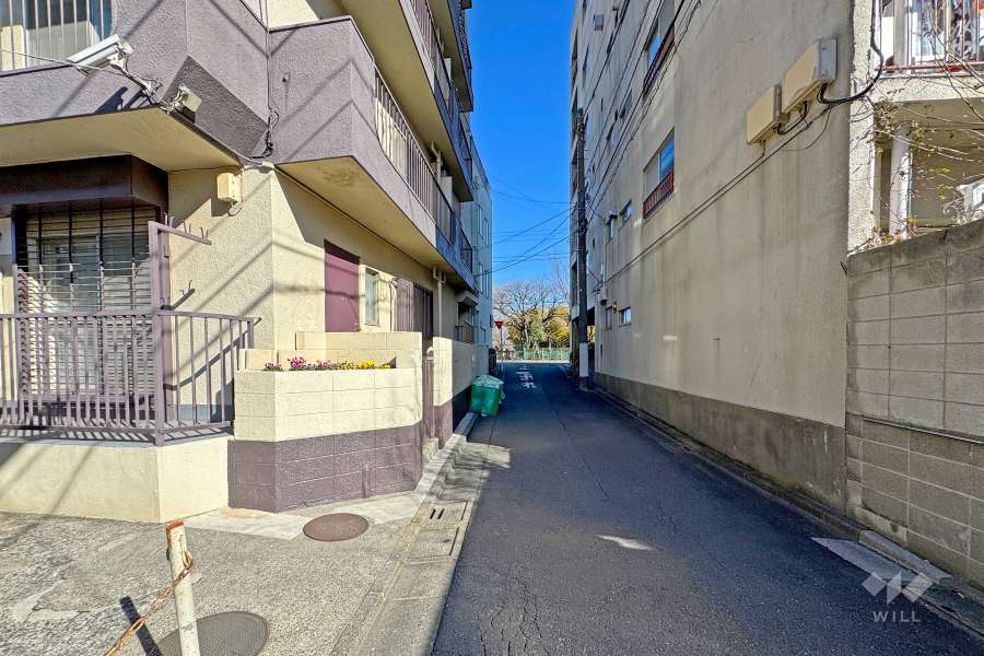 敷地西側の前面道路（南側から）