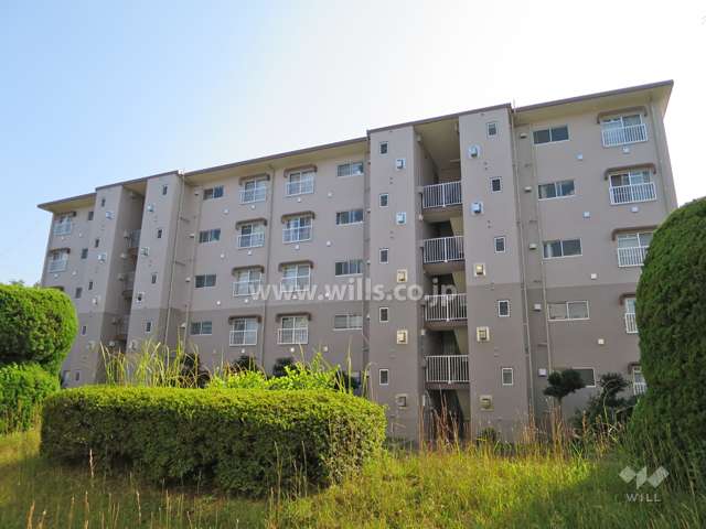 公社清和台住宅１３号棟の外観（北側から）