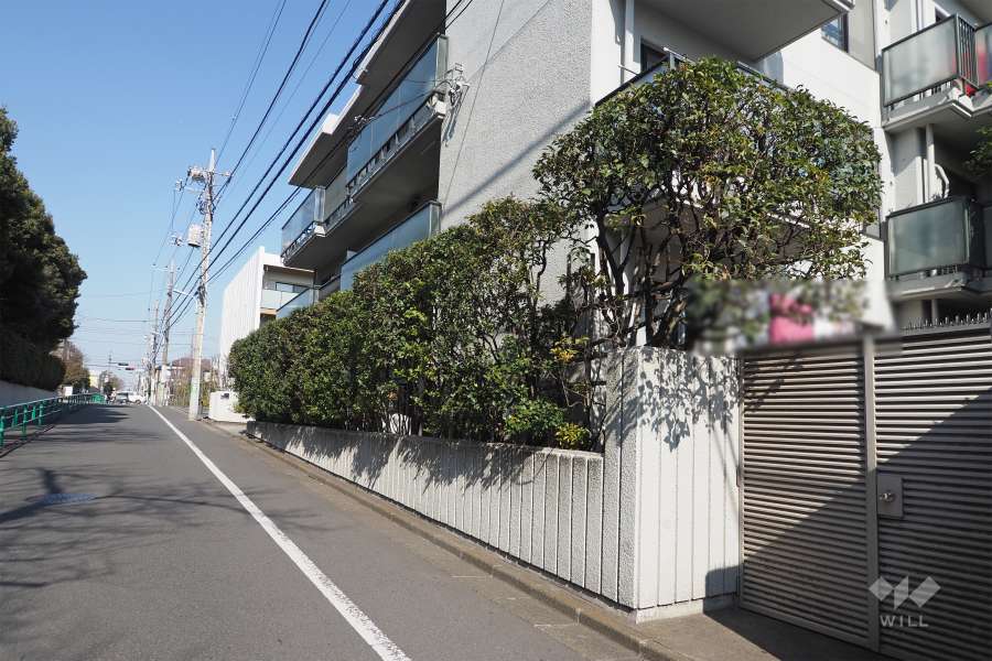 敷地西側の前面道路