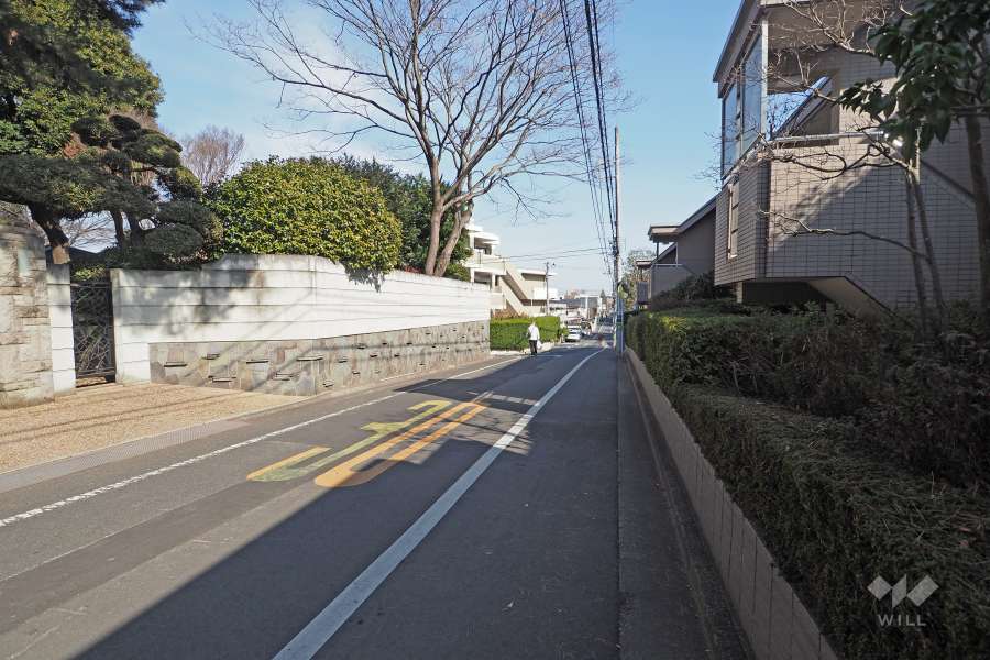 敷地北側の前面道路（西側から）
