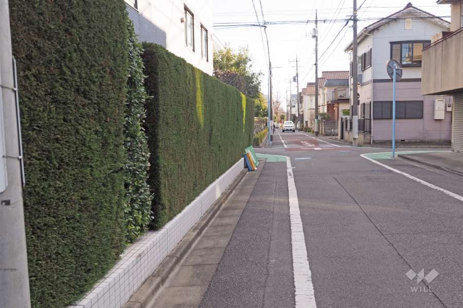 敷地西側の前面道路（北側から））