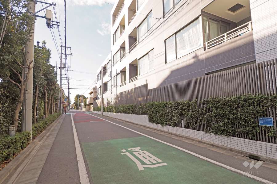 敷地南側の前面道路（東側から）