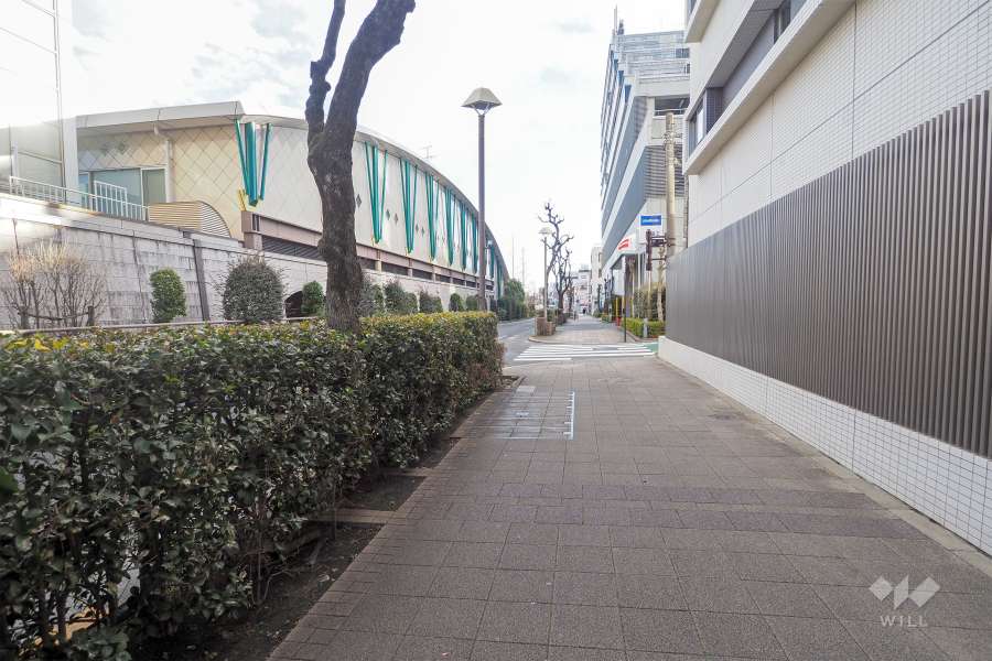 敷地東側の前面道路（北側から）