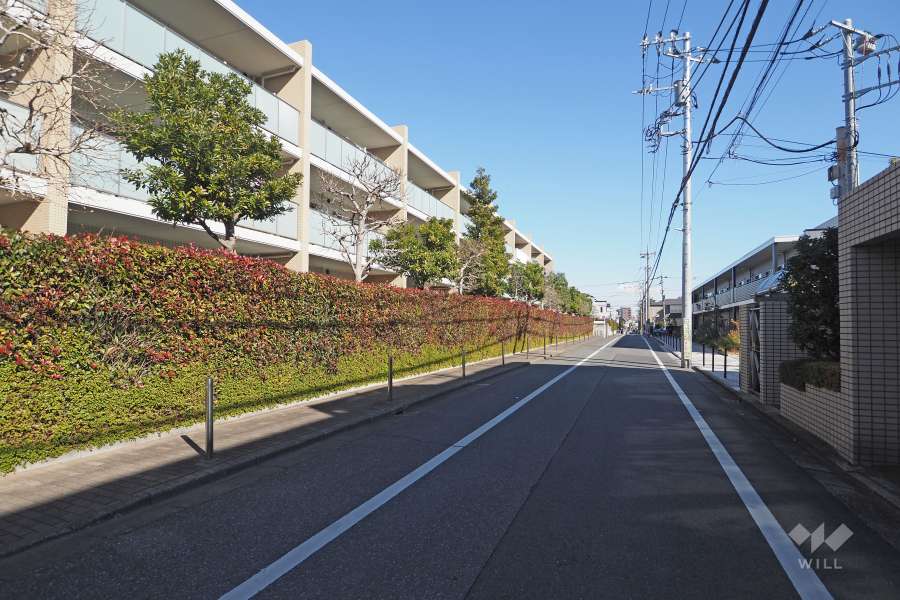 敷地南側の前面道路