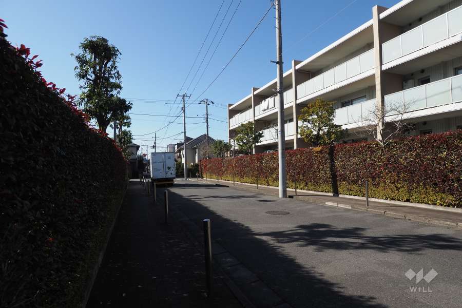 敷地北側の前面道路