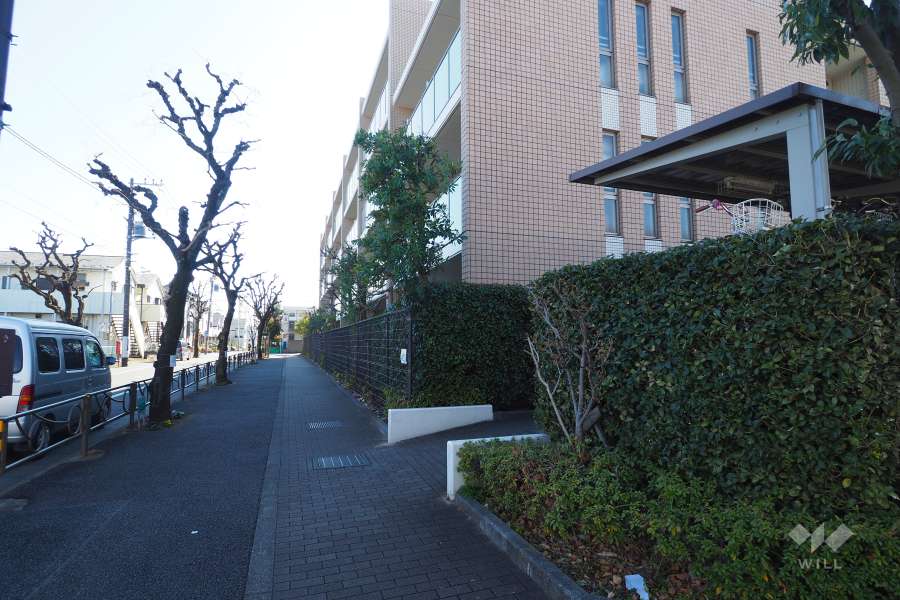 敷地東側の前面道路