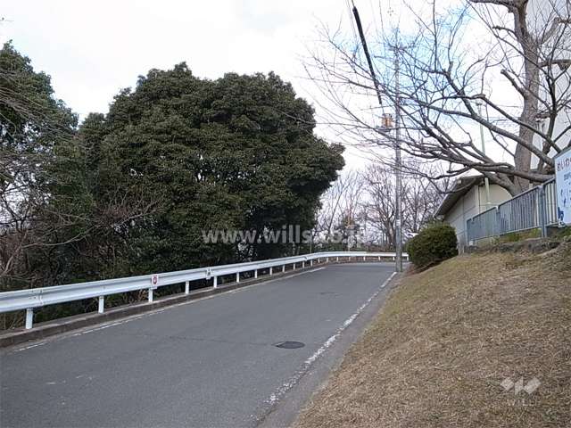 敷地の西側は雑木林が広がっています。