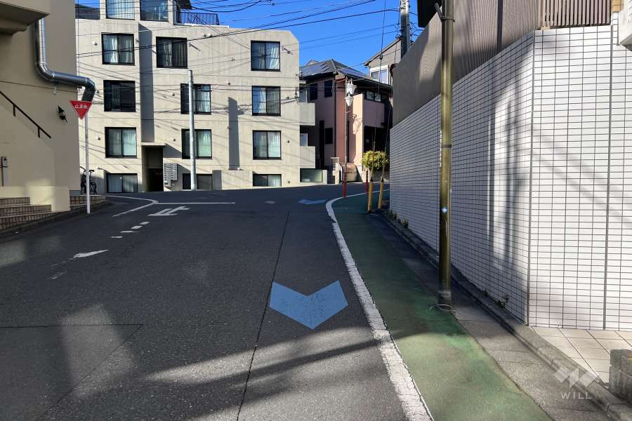 敷地の西側前面道路（南側から）