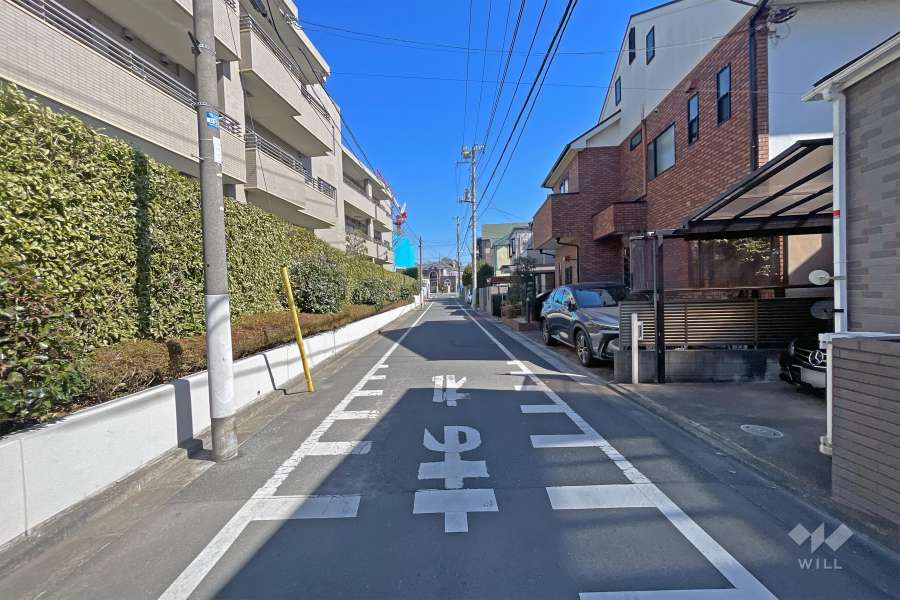 敷地の南側前面道路（西側から）