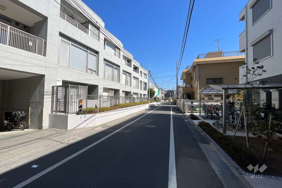 敷地の南側前面道路（西側から）