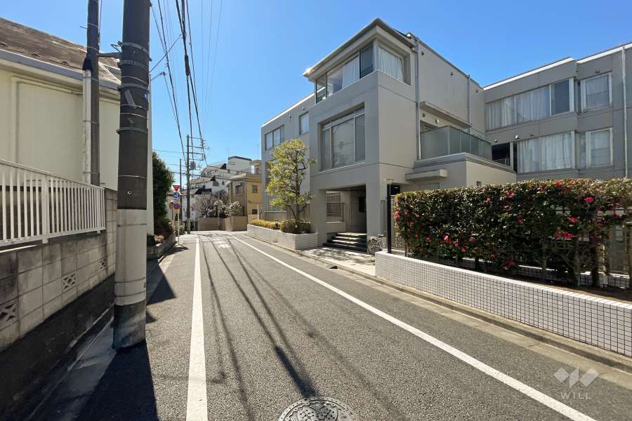 敷地の東側前面道路（北側から）
